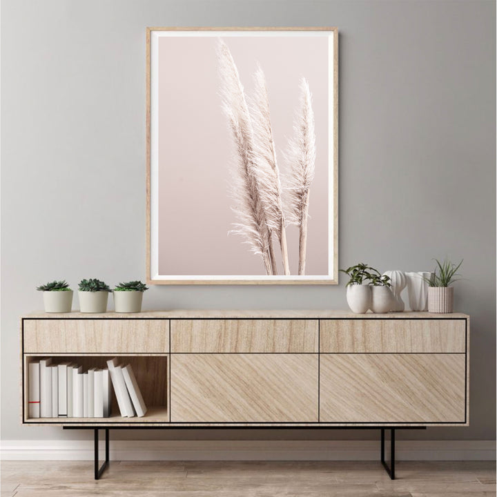 Pampas On Pink
