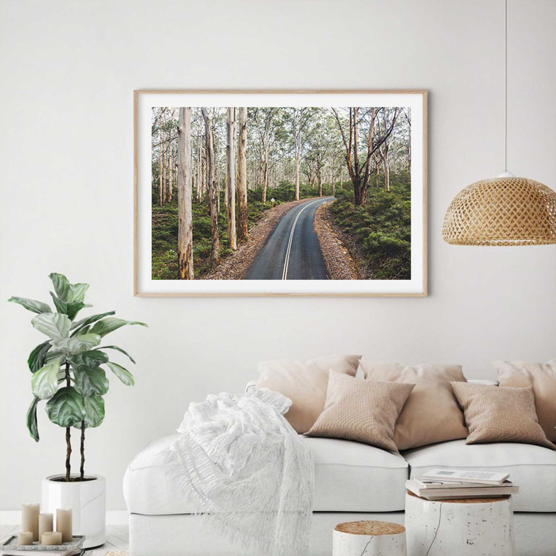 Boranup Forest - Western Australia