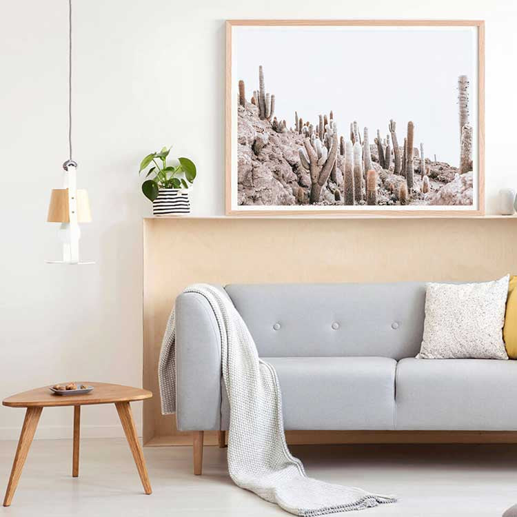 Cactus Island - Bolivia