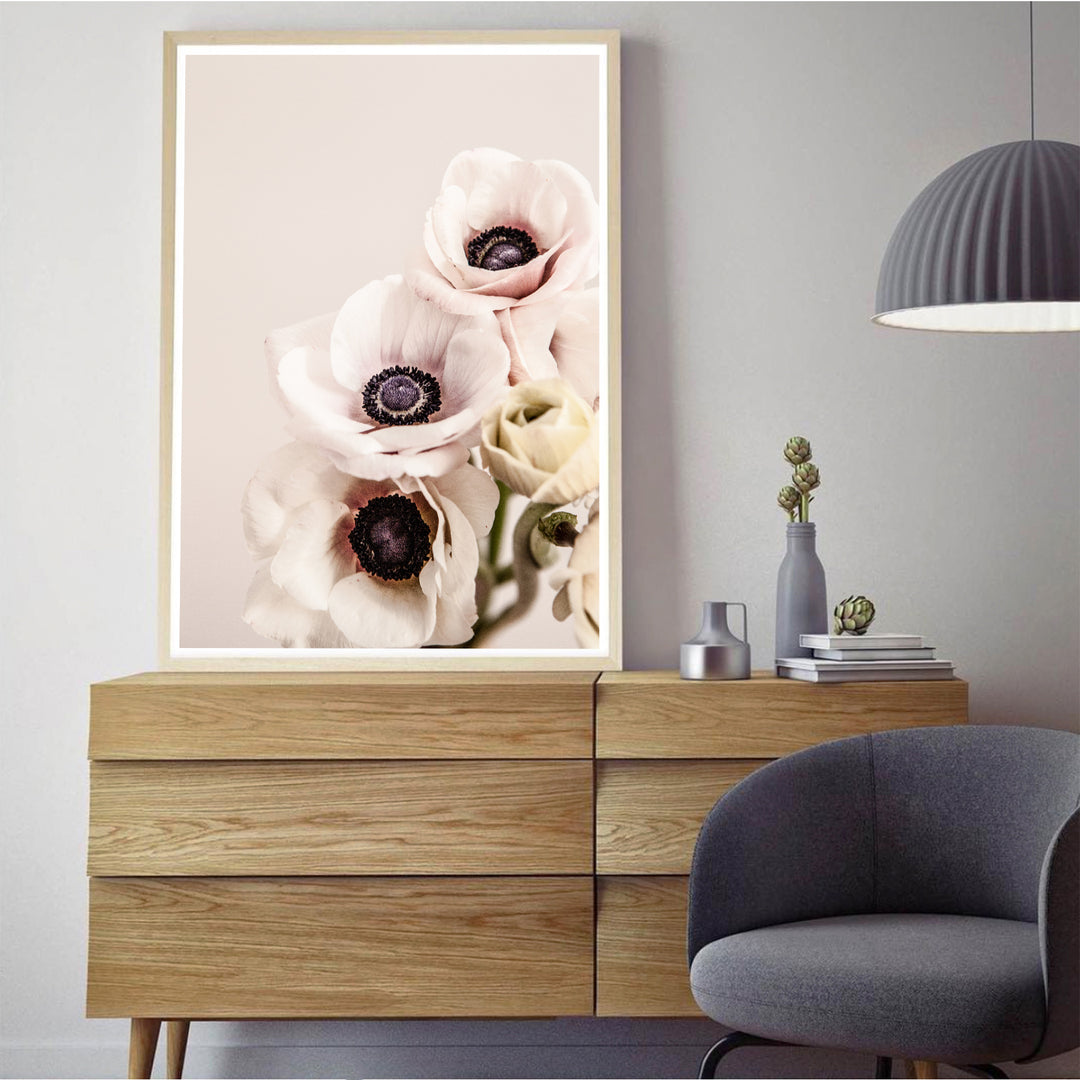 Anemones II