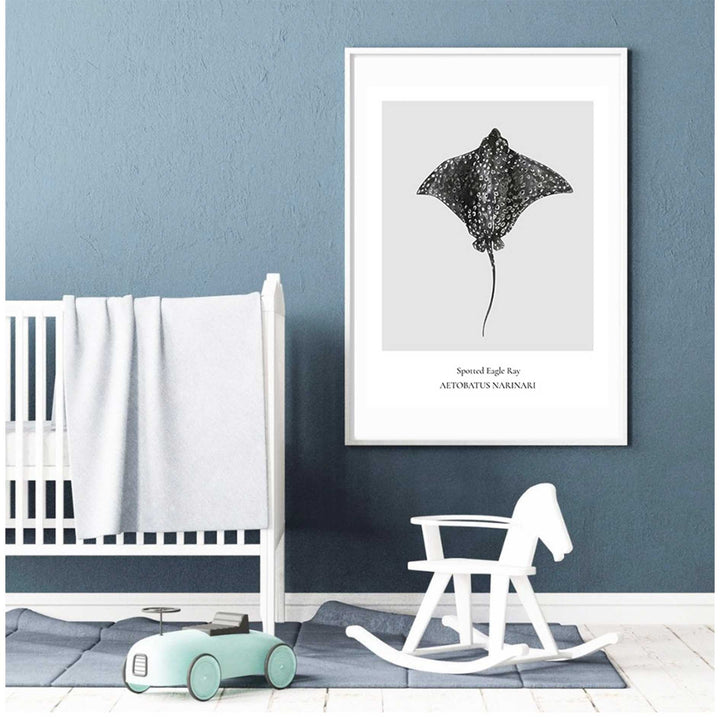 Spotted Eagle Ray
