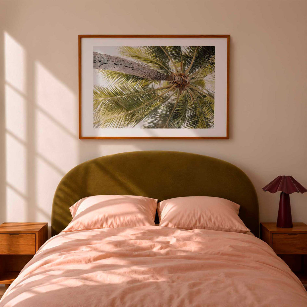 Magnetic Island Palms II