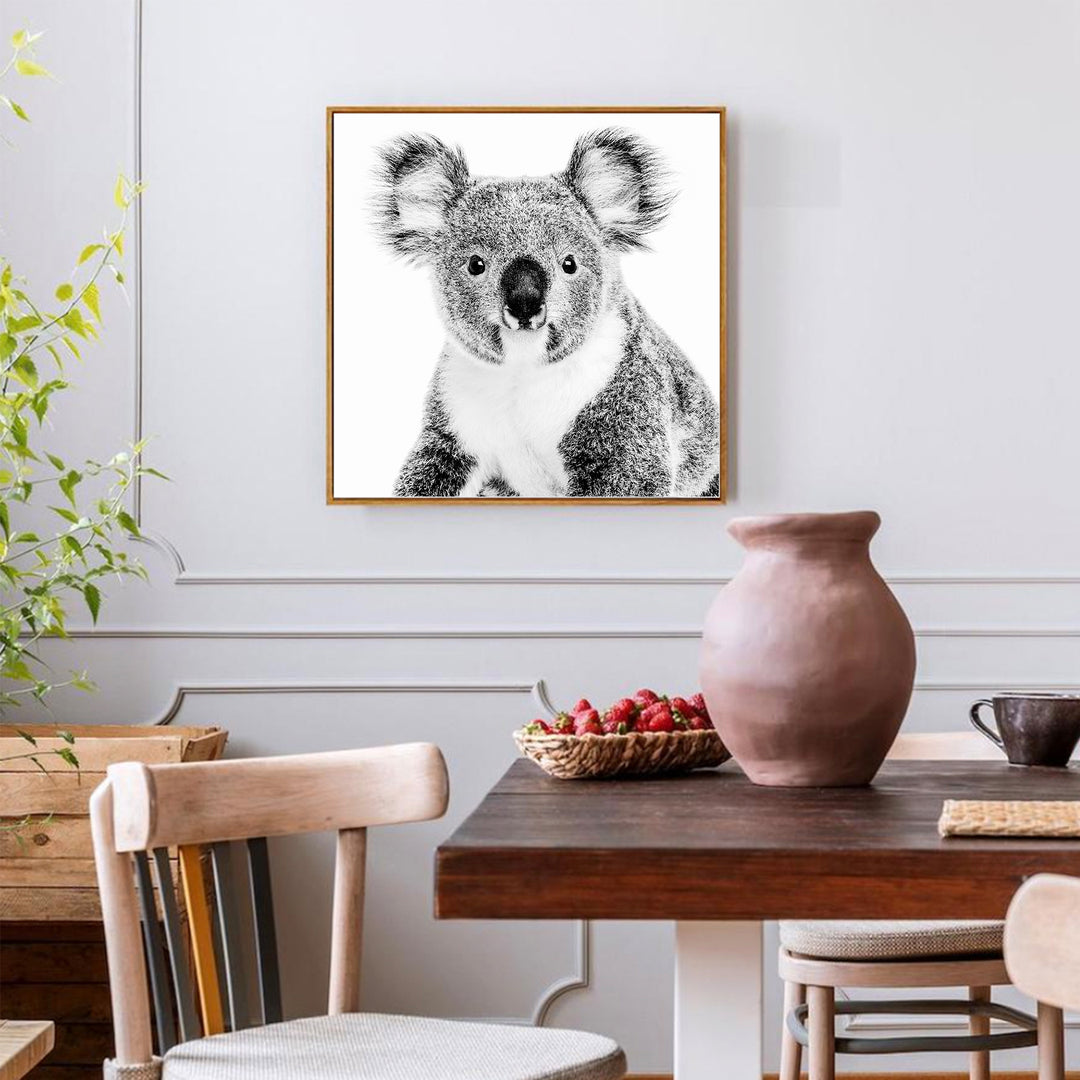 Koala - SQUARE