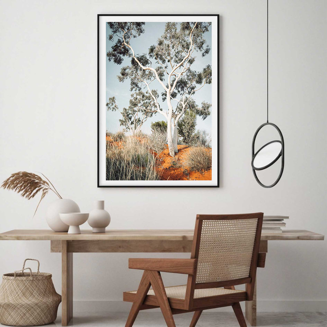 The Pilbara Gumtree- Western Australia