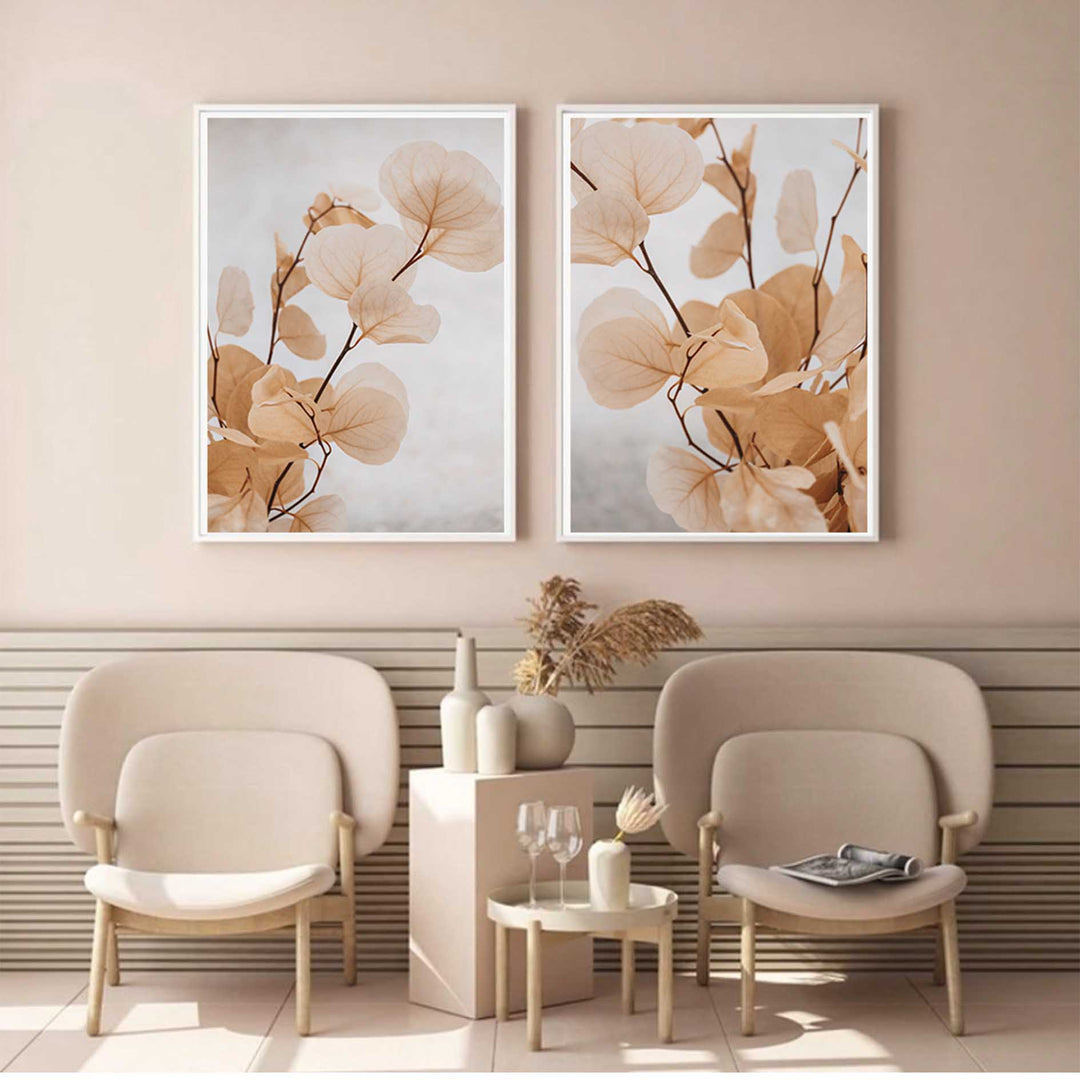 Dried Eucalyptus no.6  - Light