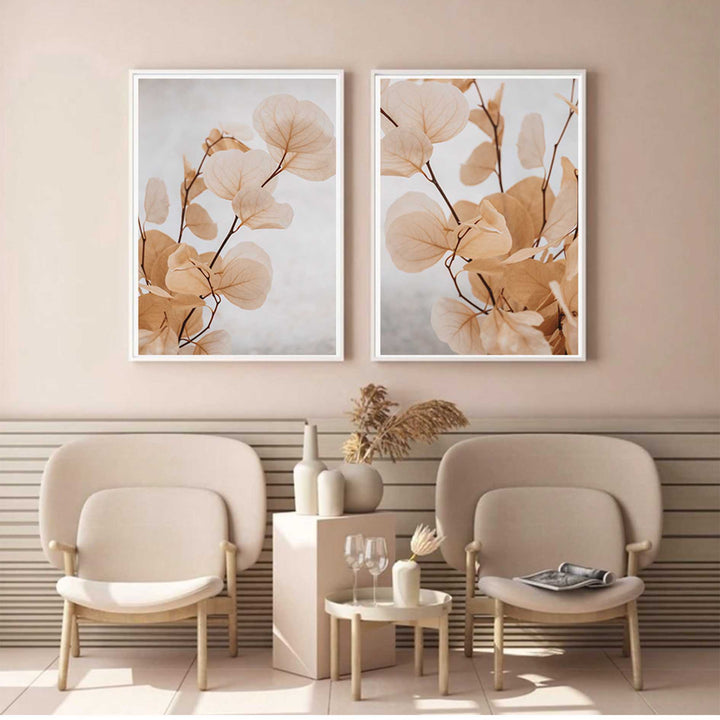 Dried Eucalyptus no.6  - Light