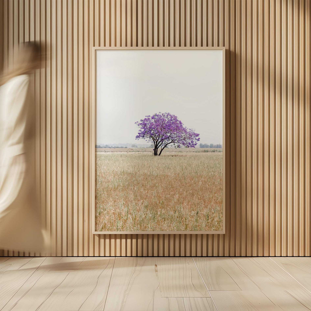 The Lonely Jacaranda I