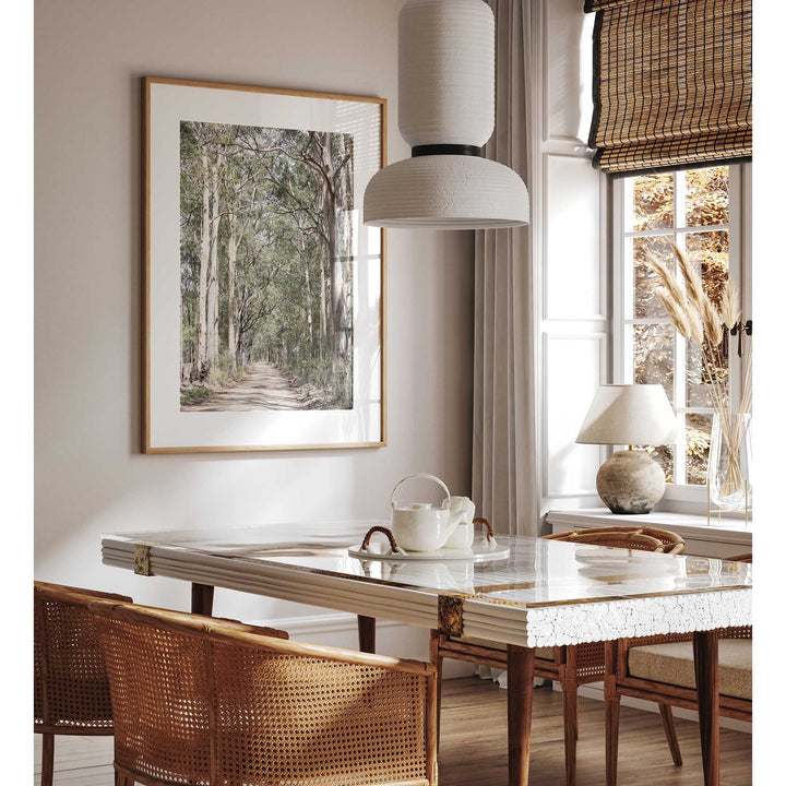 Gumtrees - The Hunter Valley