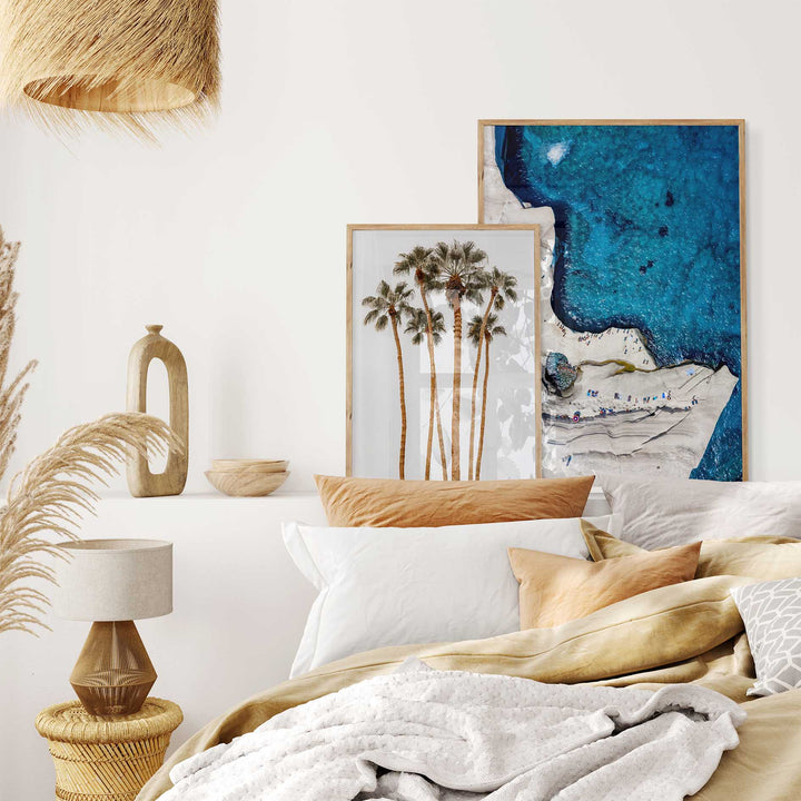 Californian Tall Palms