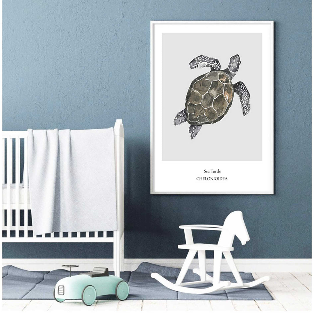 Sea Turtle
