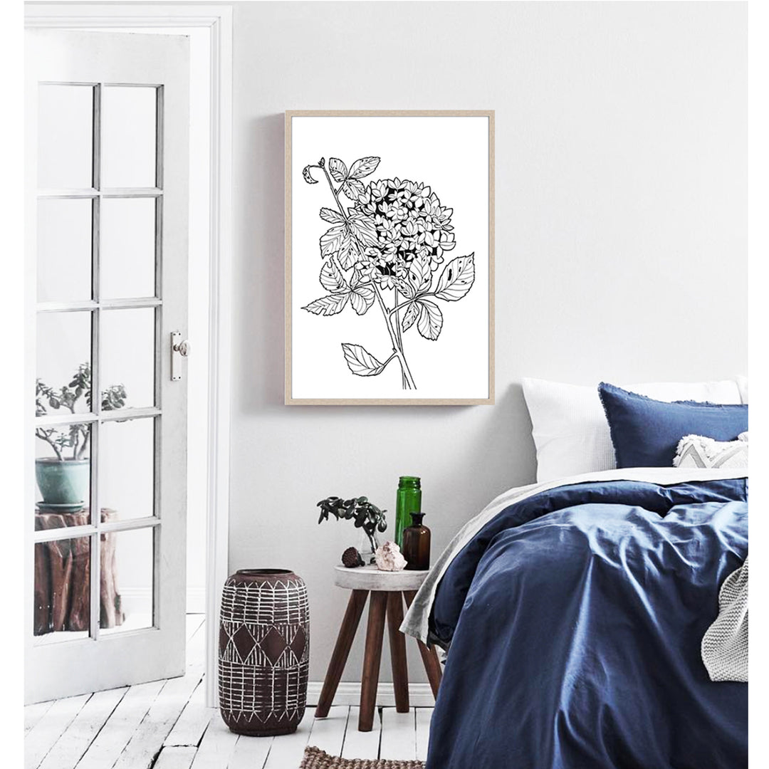 Hydrangea Sketch
