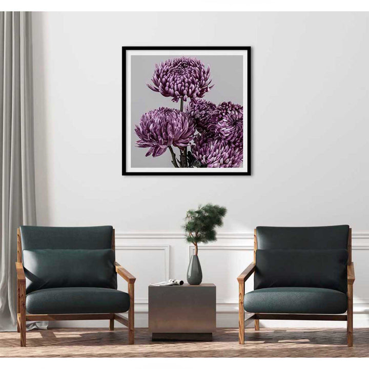 Mauve Chrysanthemum II - SQ