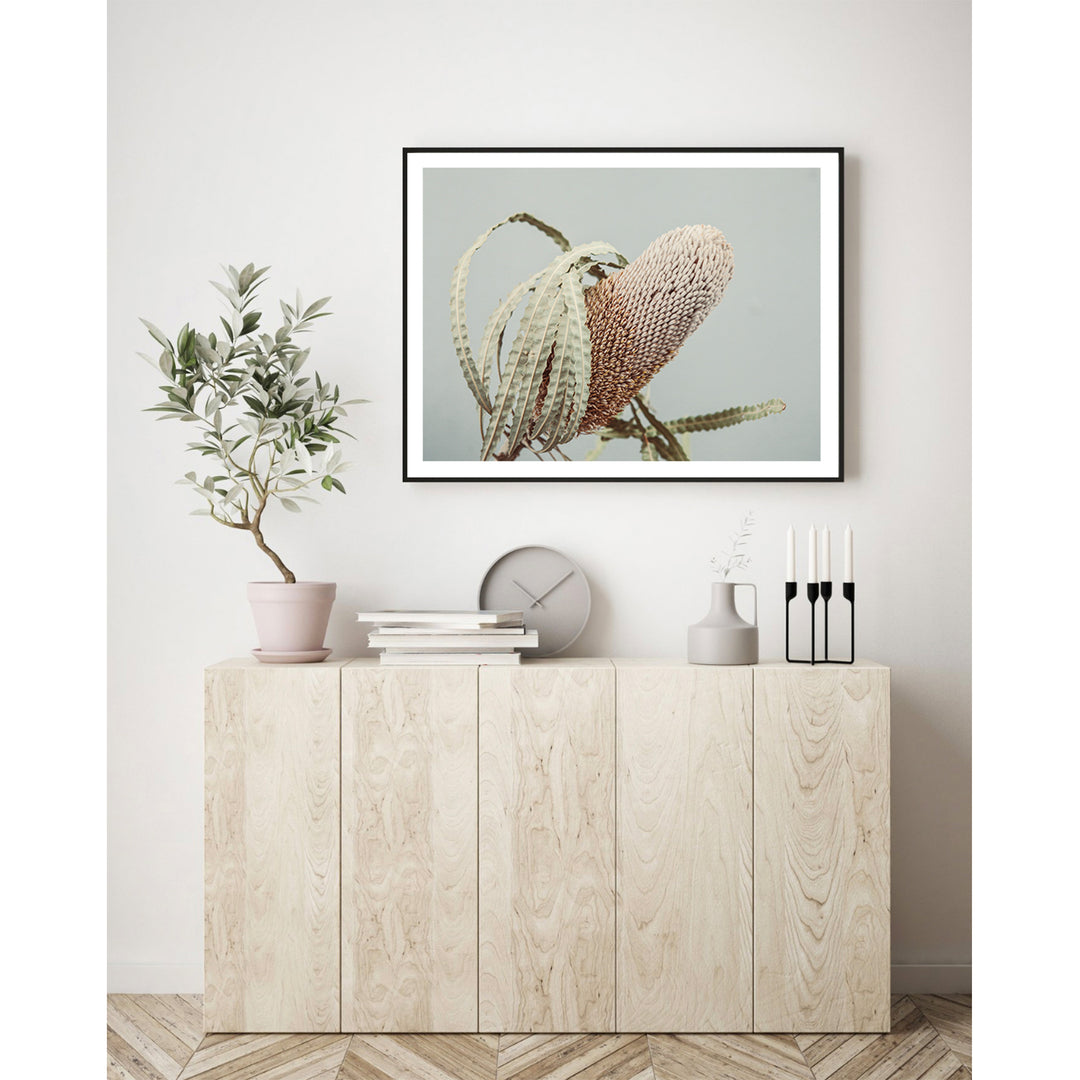 Banksia On Green no.1