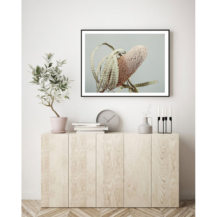 Banksia On Green no.1