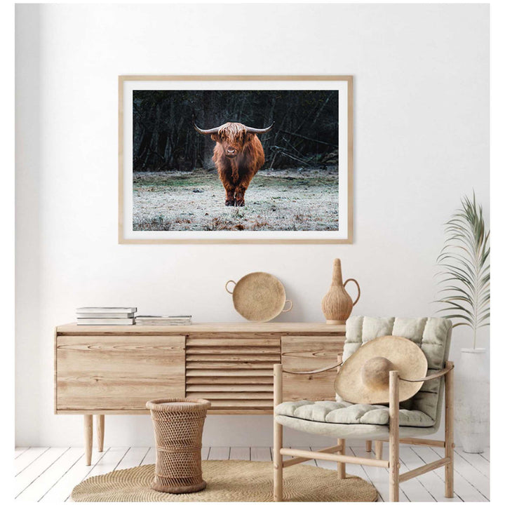 Wild Highland III
