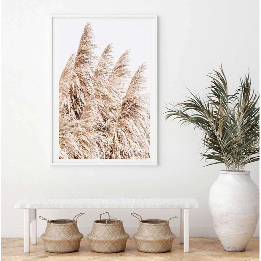 Pampas Grass no.3