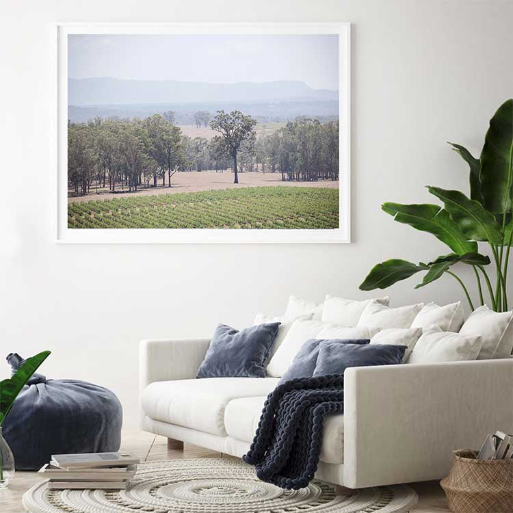 The Hunter Valley Vineyards