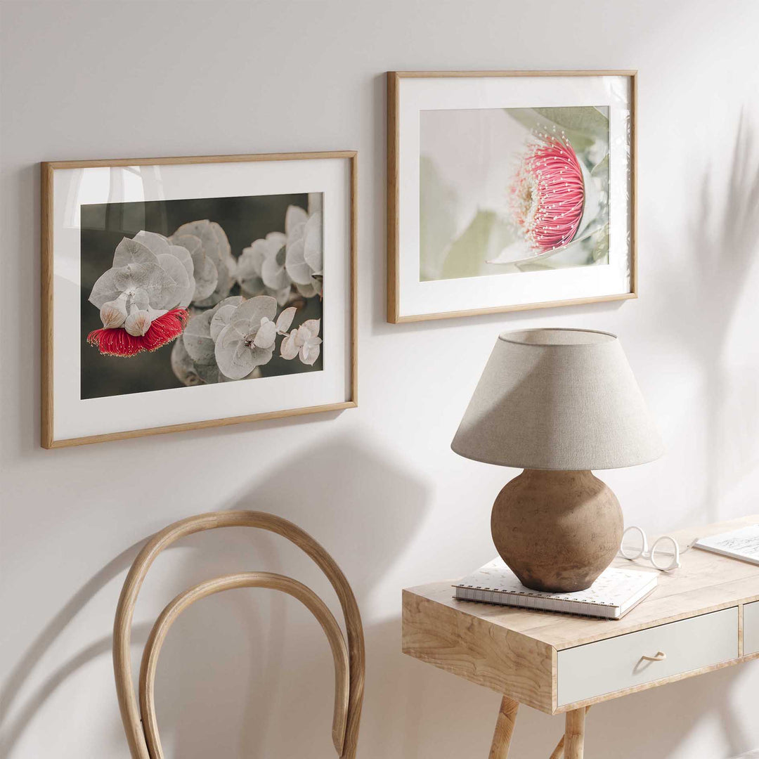 Red Eucalyptus Blossom I