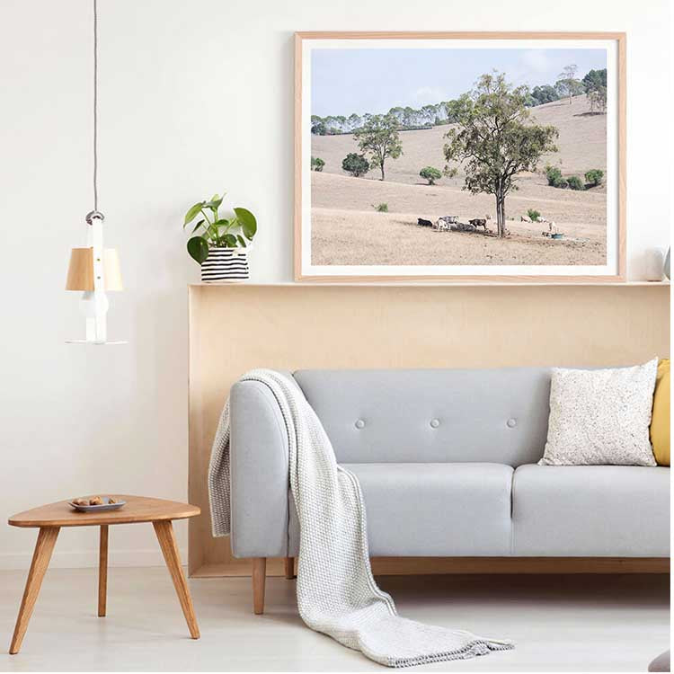 Getting Shade - The Hunter Valley