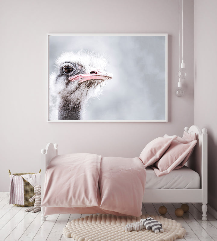Ostrich