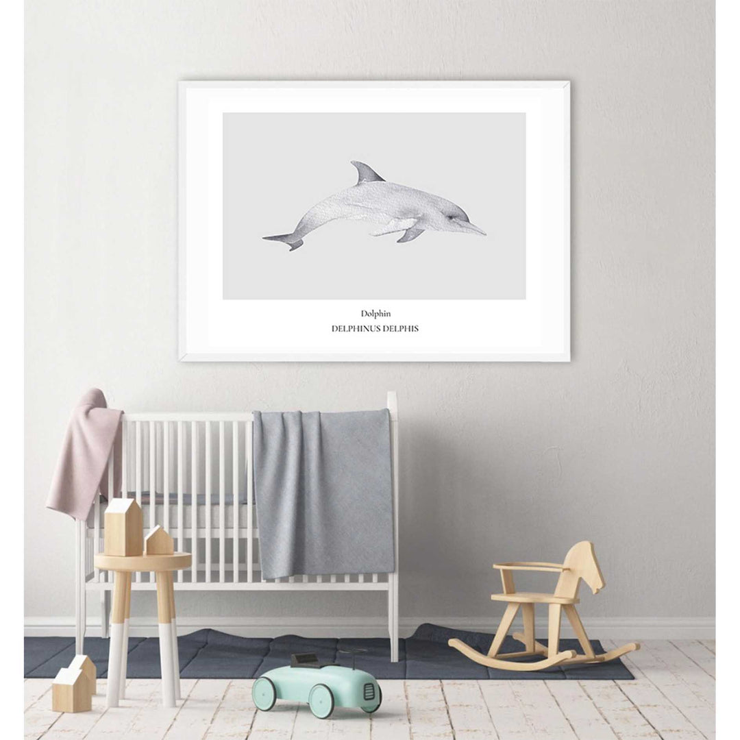 Dolphin
