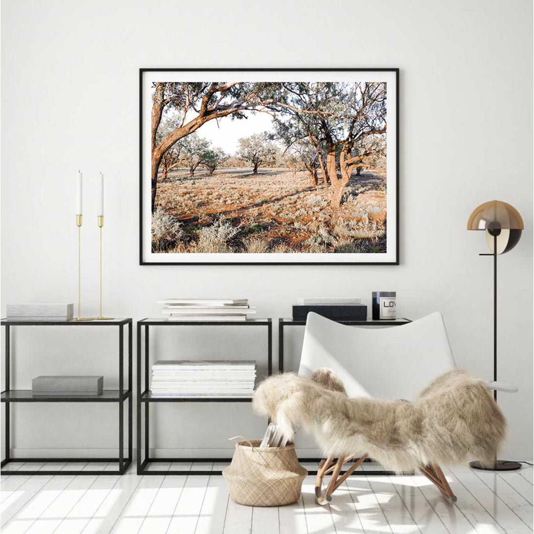 The Darling River Banks II