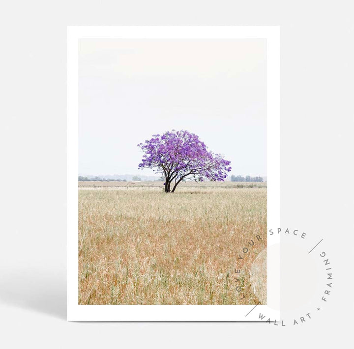 The Lonely Jacaranda I A4 (21cm x 29.7cm) / No Frame Posters Prints & Visual Artwork