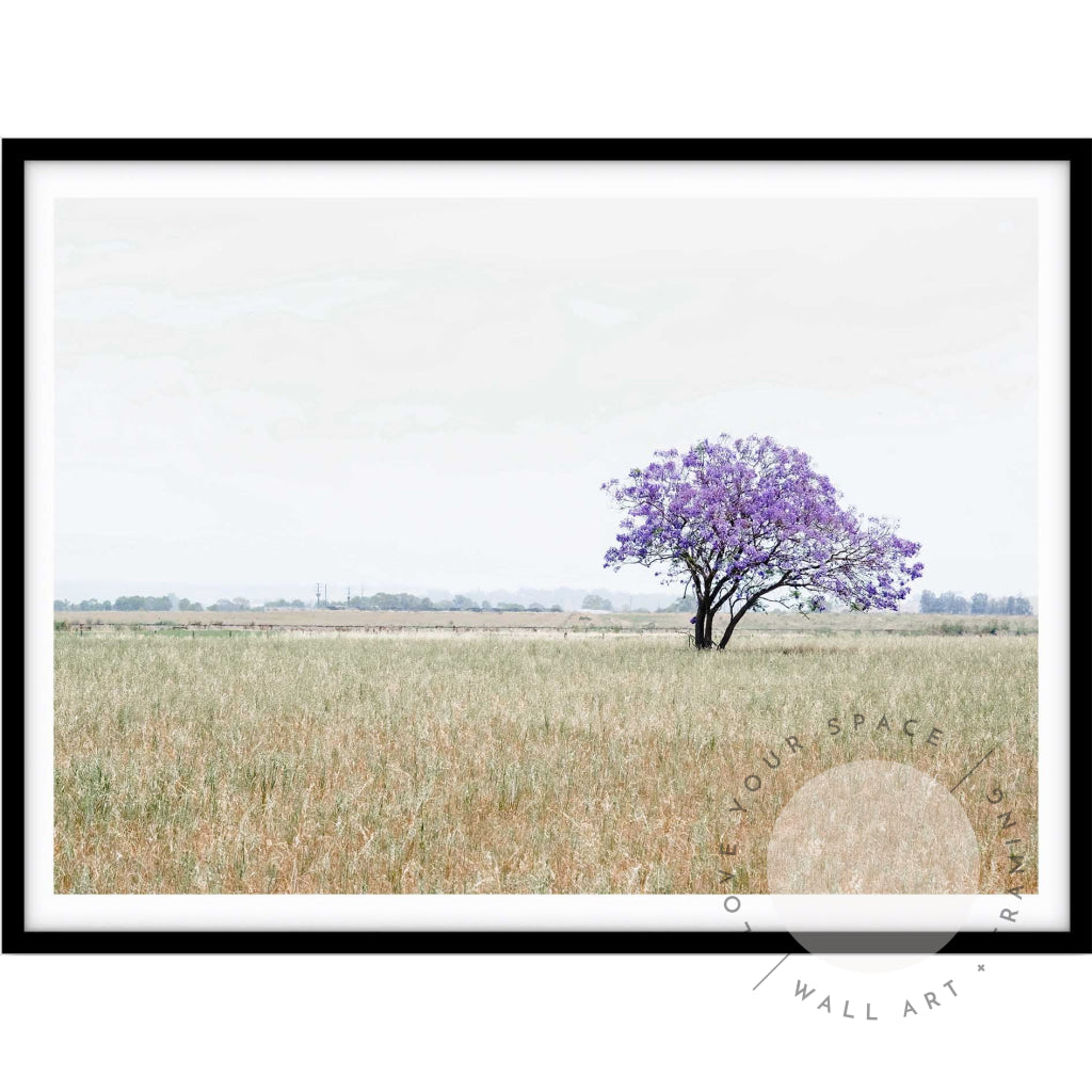 The Lonely Jacaranda II A4 (21cm x 29.7cm) / Black Posters Prints & Visual Artwork
