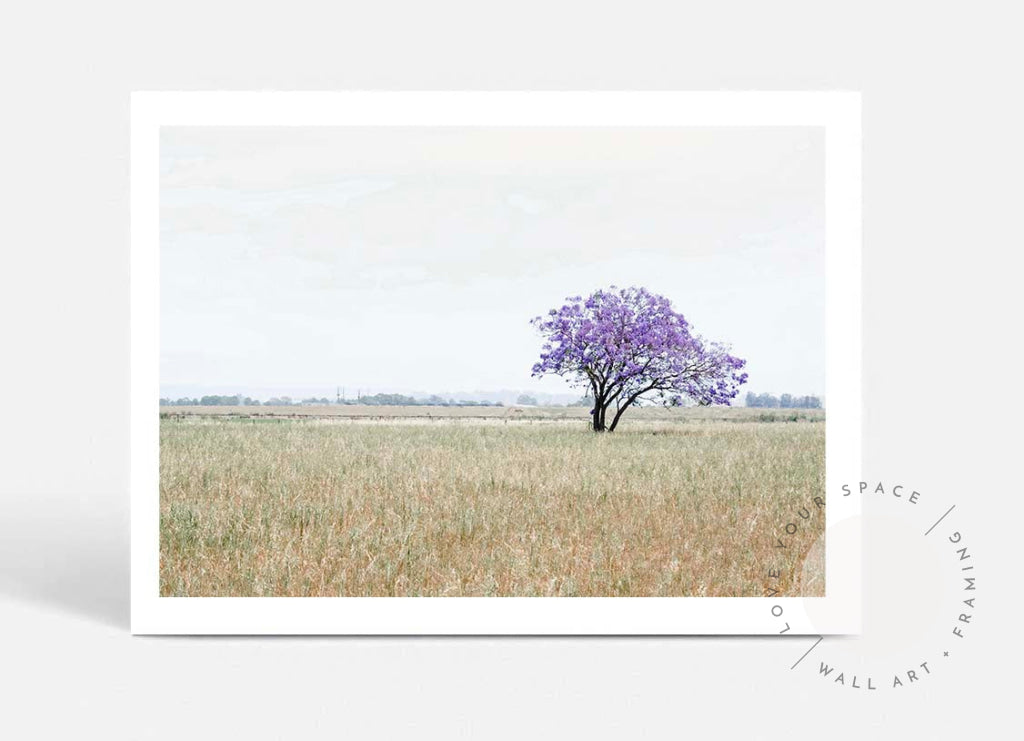 The Lonely Jacaranda II A4 (21cm x 29.7cm) / No Frame Posters Prints & Visual Artwork