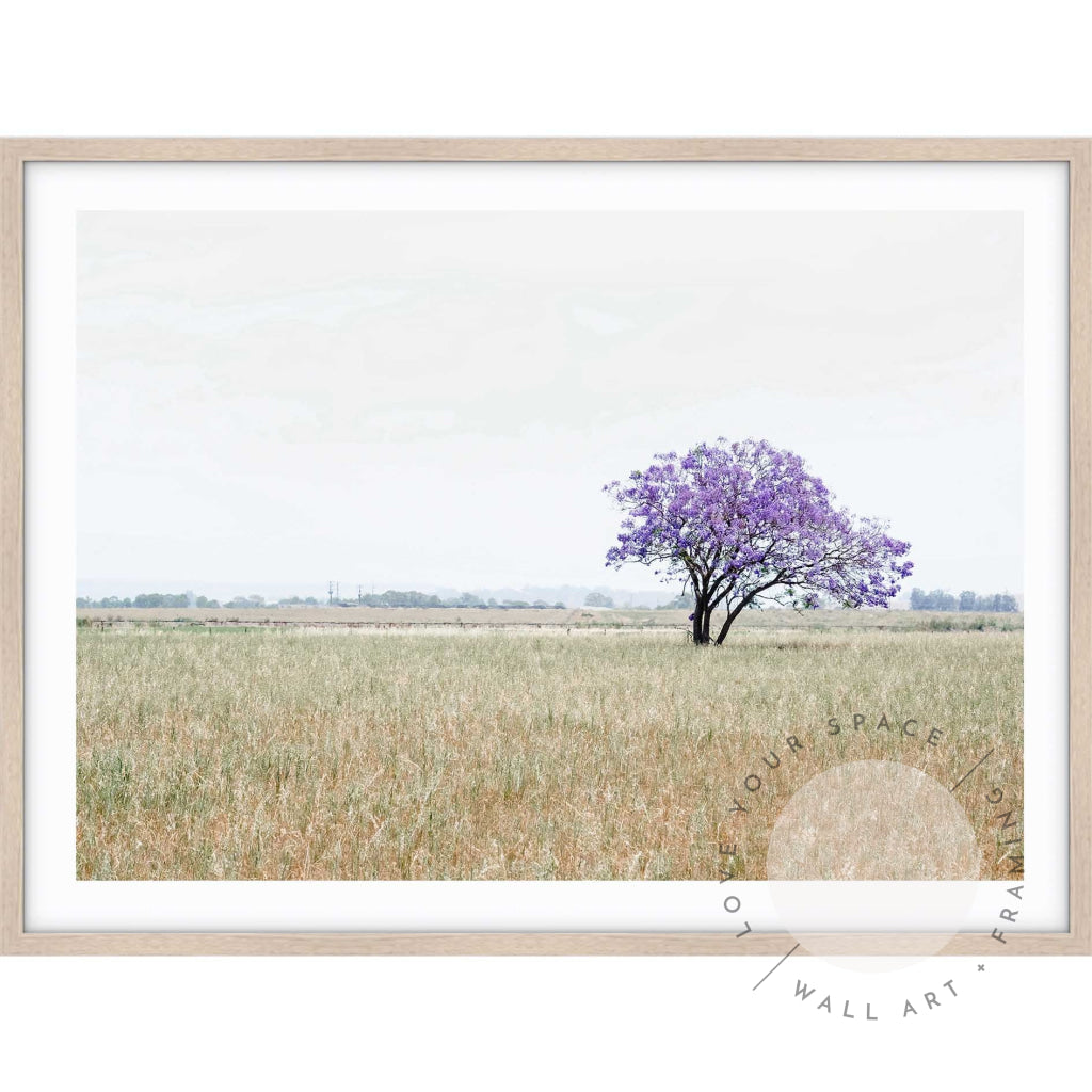 The Lonely Jacaranda II A4 (21cm x 29.7cm) / Oak Posters Prints & Visual Artwork