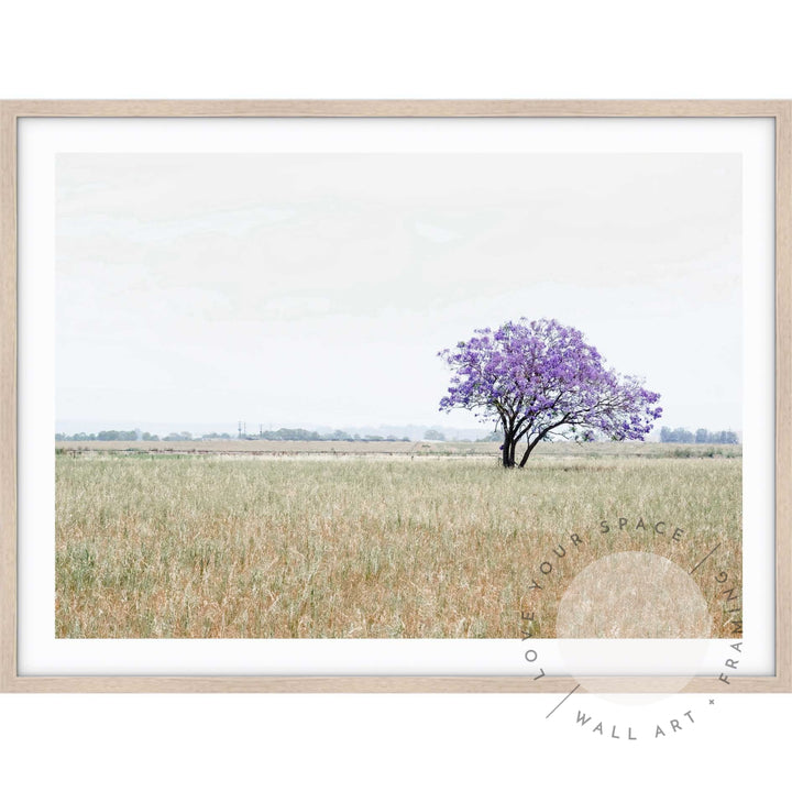 The Lonely Jacaranda II A4 (21cm x 29.7cm) / Oak Posters Prints & Visual Artwork