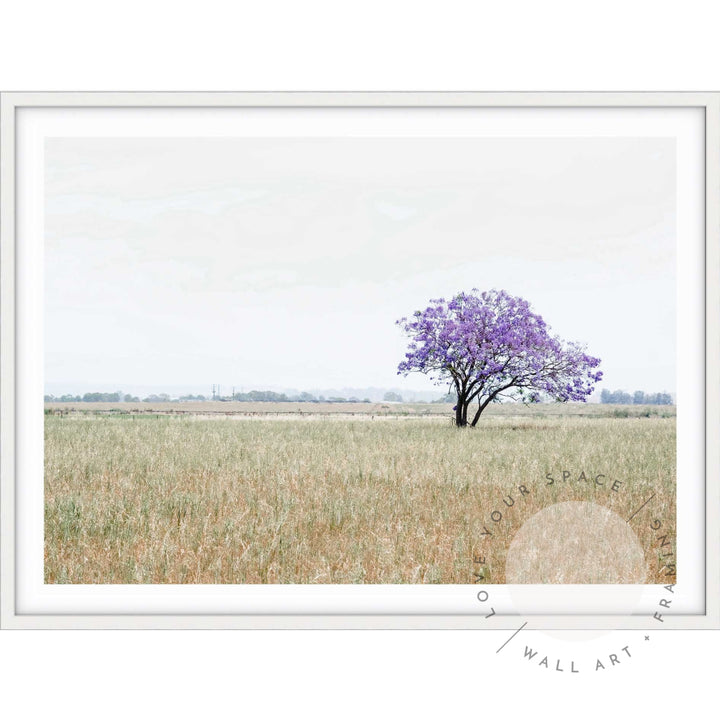 The Lonely Jacaranda II A4 (21cm x 29.7cm) / White Posters Prints & Visual Artwork