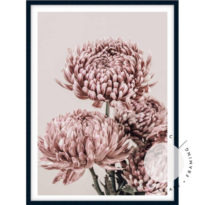 Vintage Chrysanthemums I - Love Your Space