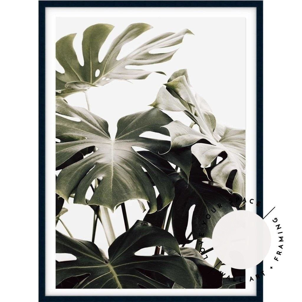 Vintage Monstera I - Love Your Space