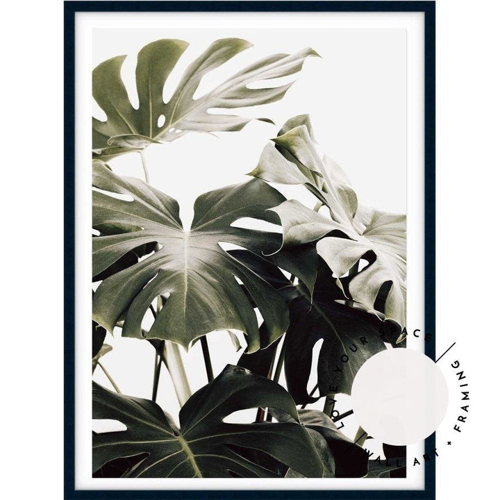 Vintage Monstera I - Love Your Space