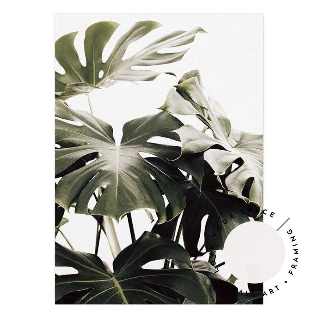 Vintage Monstera I - Love Your Space