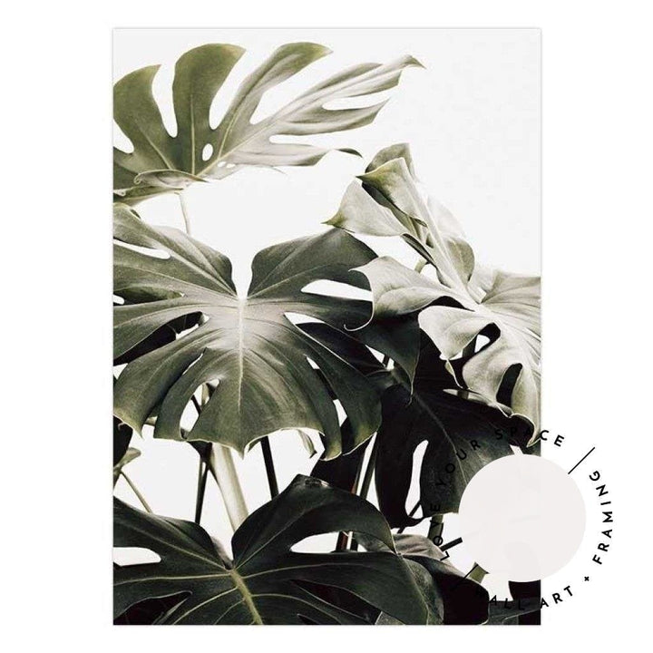 Vintage Monstera I - Love Your Space