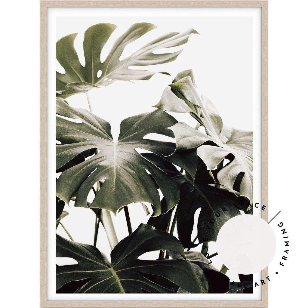 Vintage Monstera I - Love Your Space