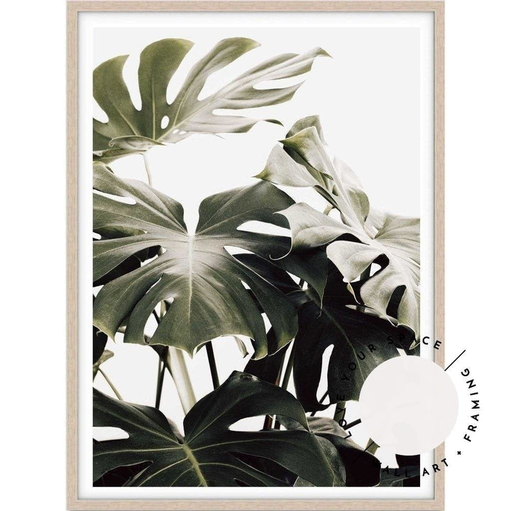 Vintage Monstera I - Love Your Space