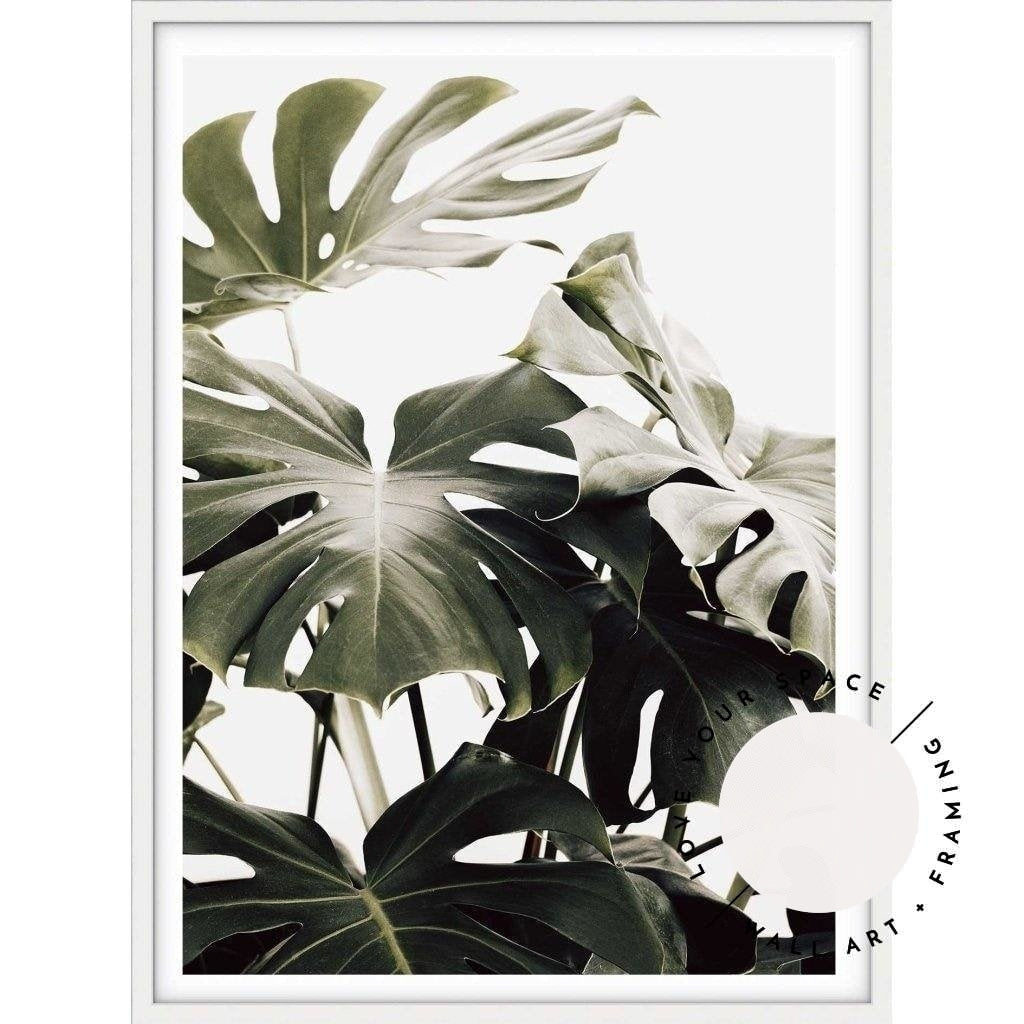 Vintage Monstera I - Love Your Space