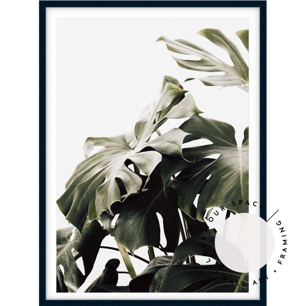 Vintage Monstera II - Love Your Space