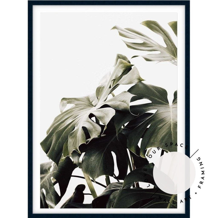 Vintage Monstera II - Love Your Space