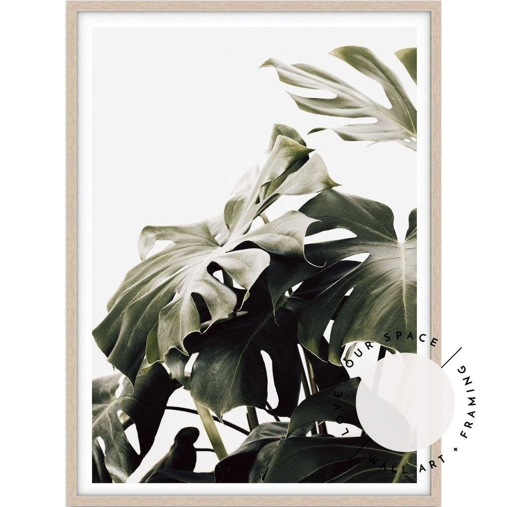 Vintage Monstera II - Love Your Space
