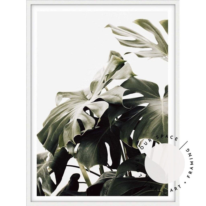 Vintage Monstera II - Love Your Space