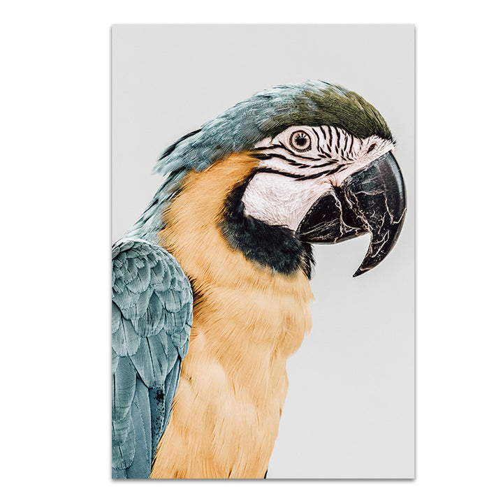 Gizmo no.1