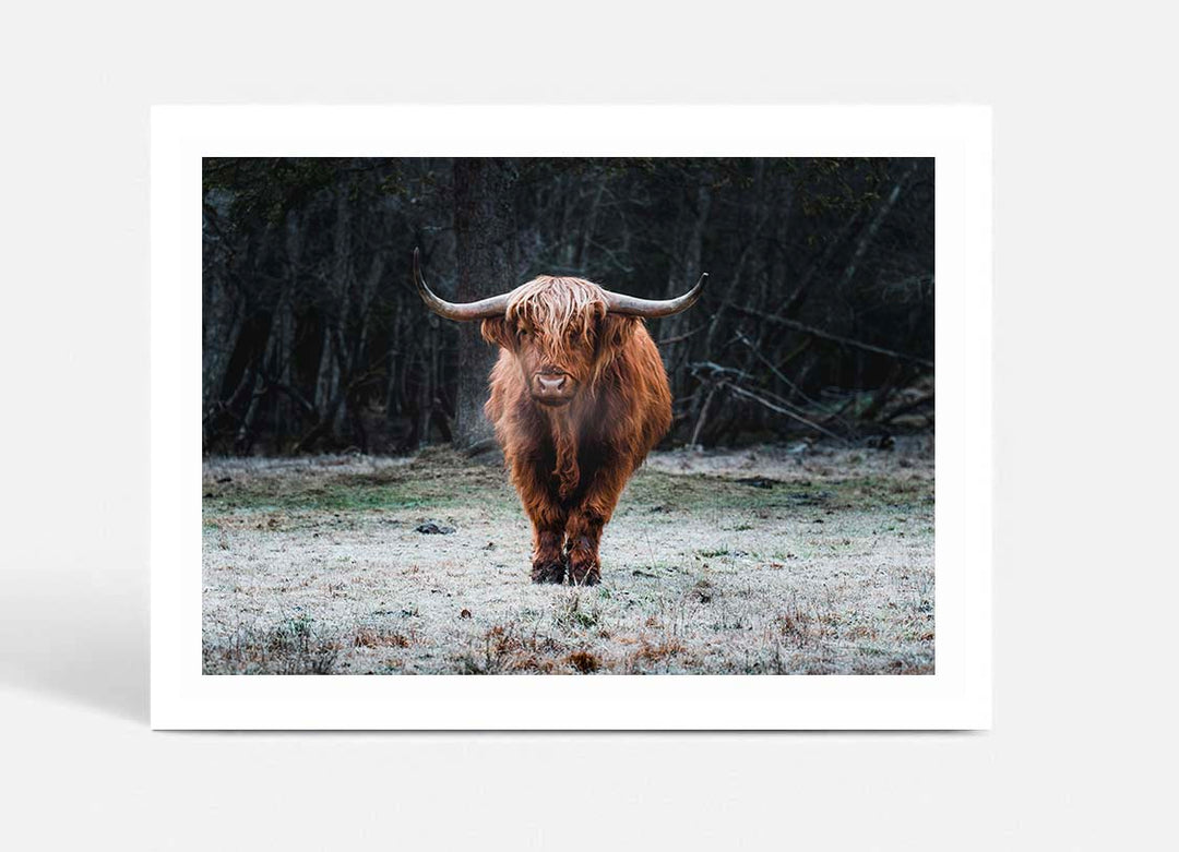 Wild Highland III