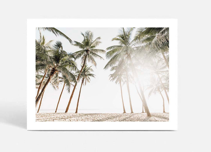 Maldive Palms I