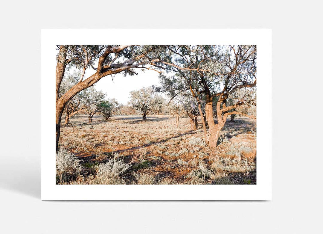 The Darling River Banks II