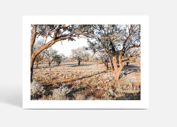 The Darling River Banks II