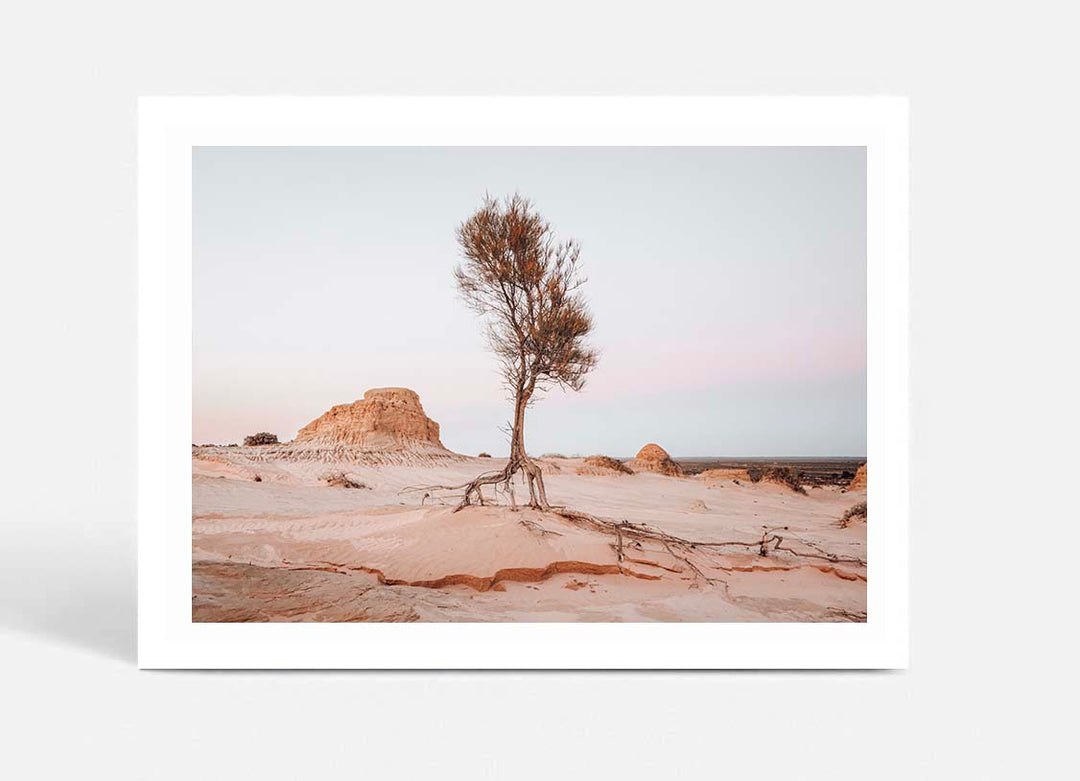 Mungo National Park